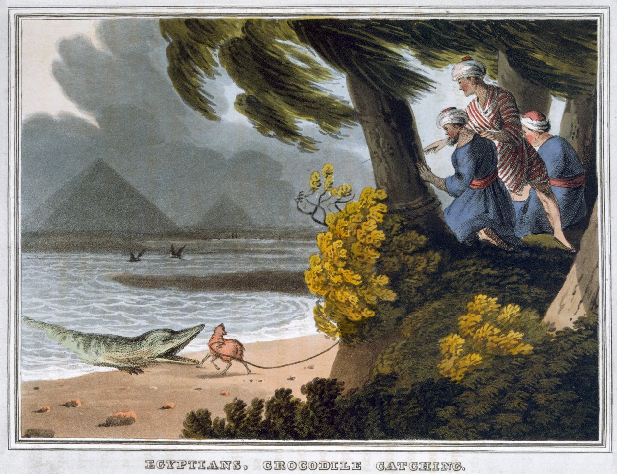 Egiziani che catturano coccodrilli da Matthew Dubourg