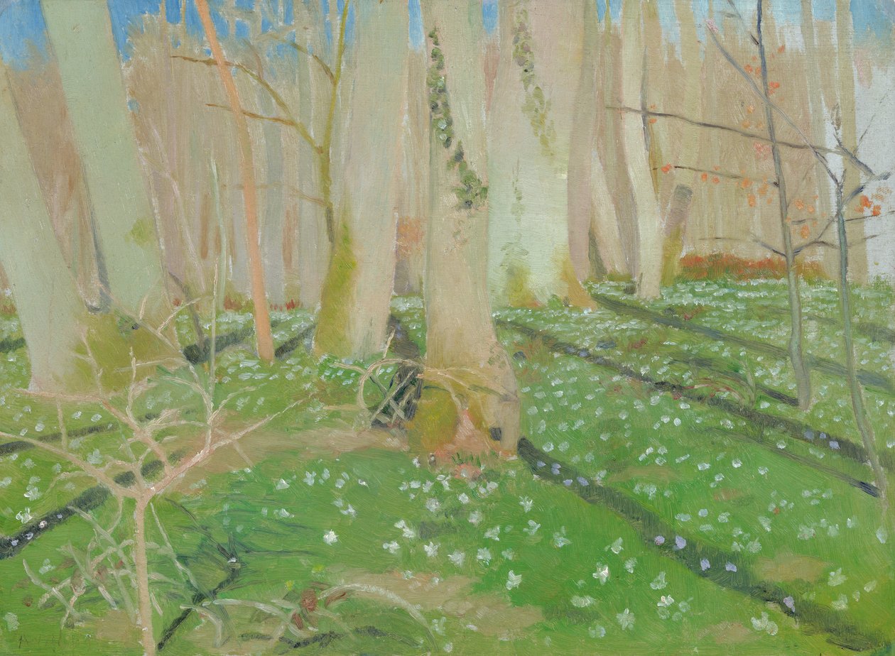 Foresta con anemoni da Maurice Denis