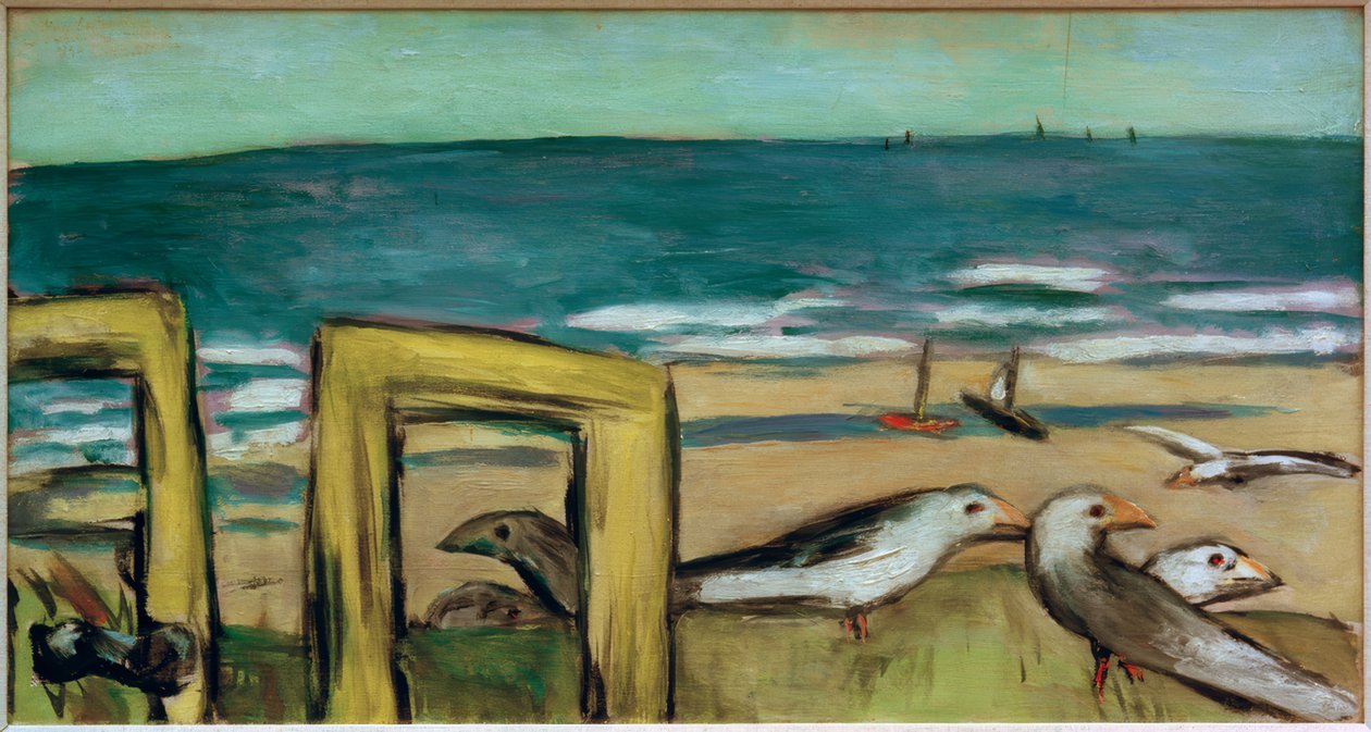 Gabbiani, soleggiato da Max Beckmann