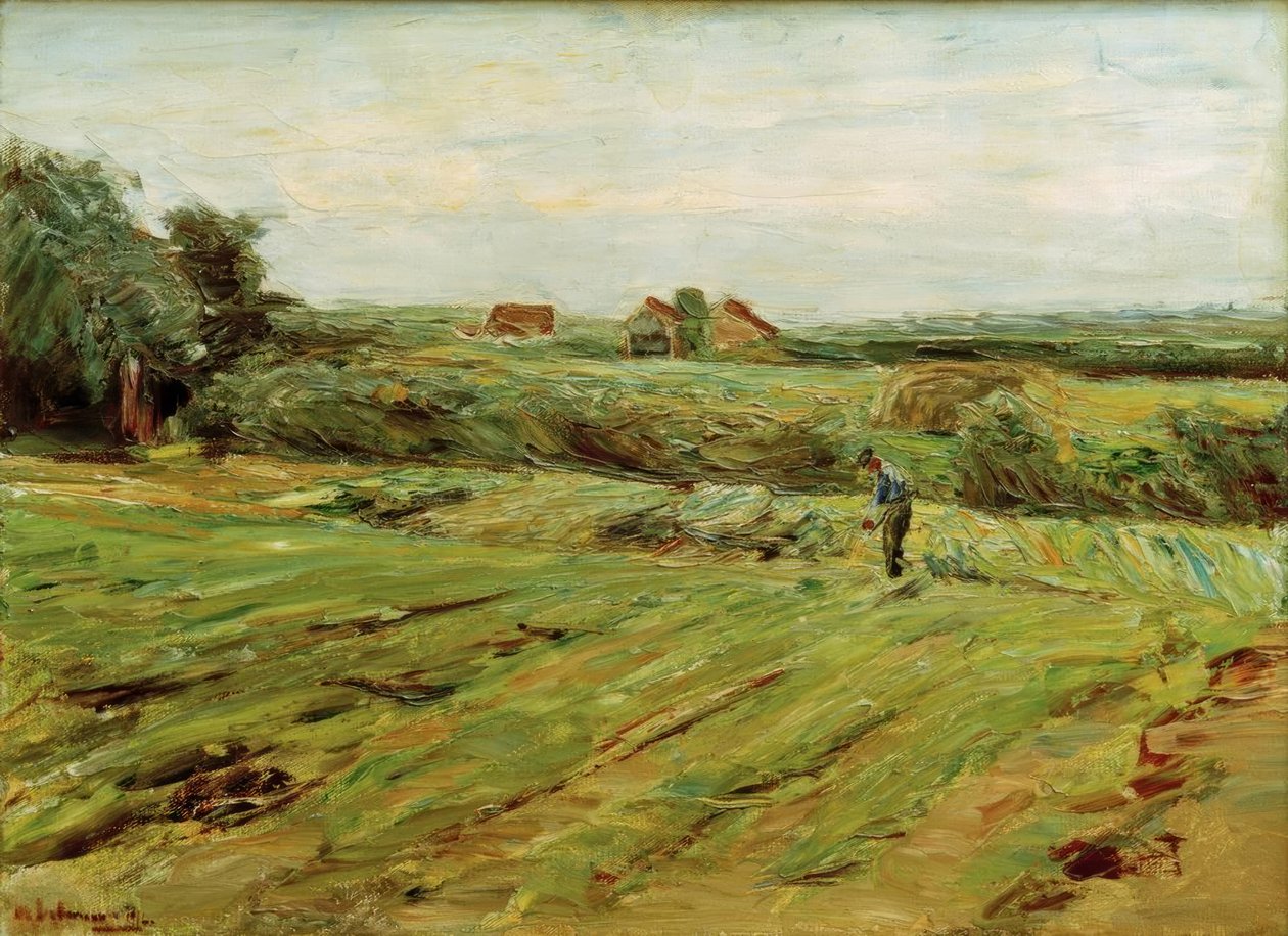 Campo di raccolta – Campo di cavoli (?) da Max Liebermann