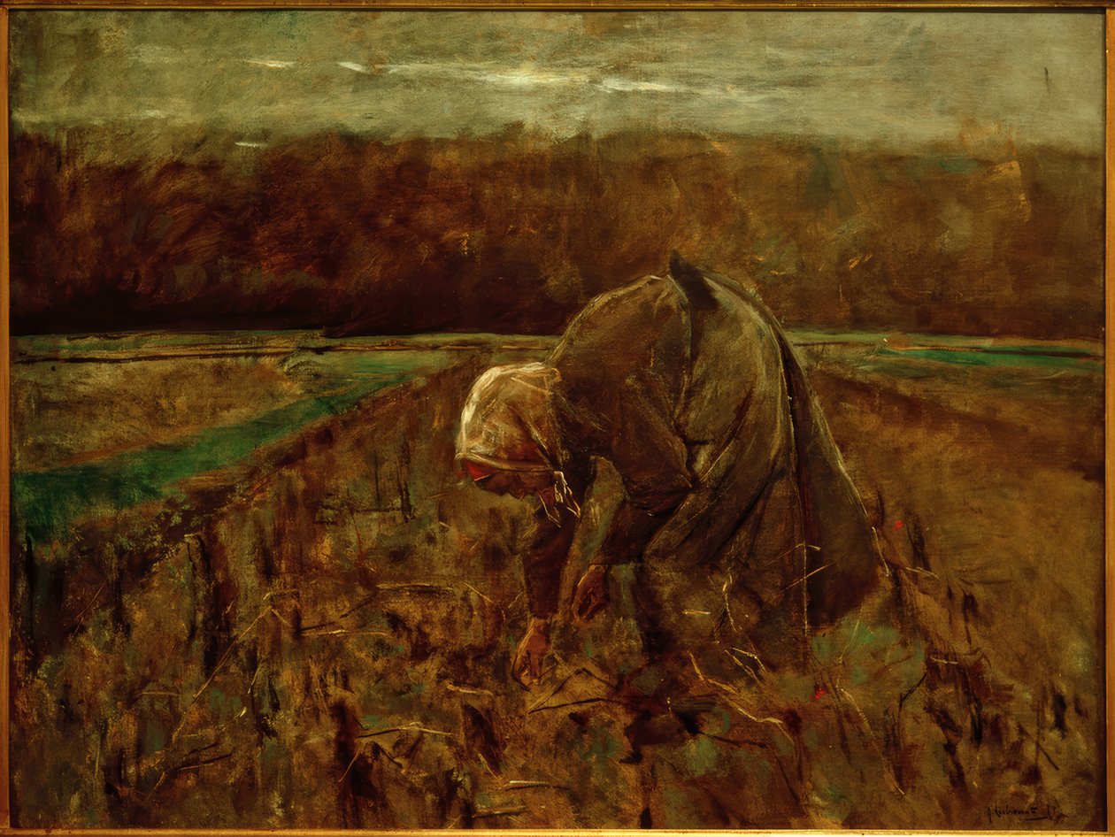Raccoglitrice di patate da Max Liebermann