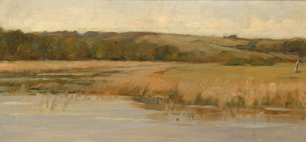 Collina e Palude, fine XIX-inizio XX secolo da Max Weyl