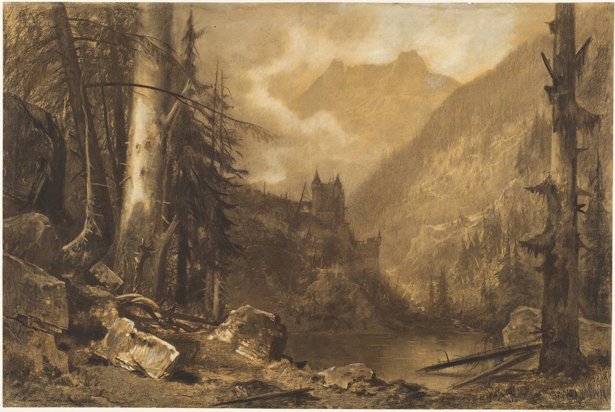 Castello alpino sopra un lago boscoso da Maxime Lalanne