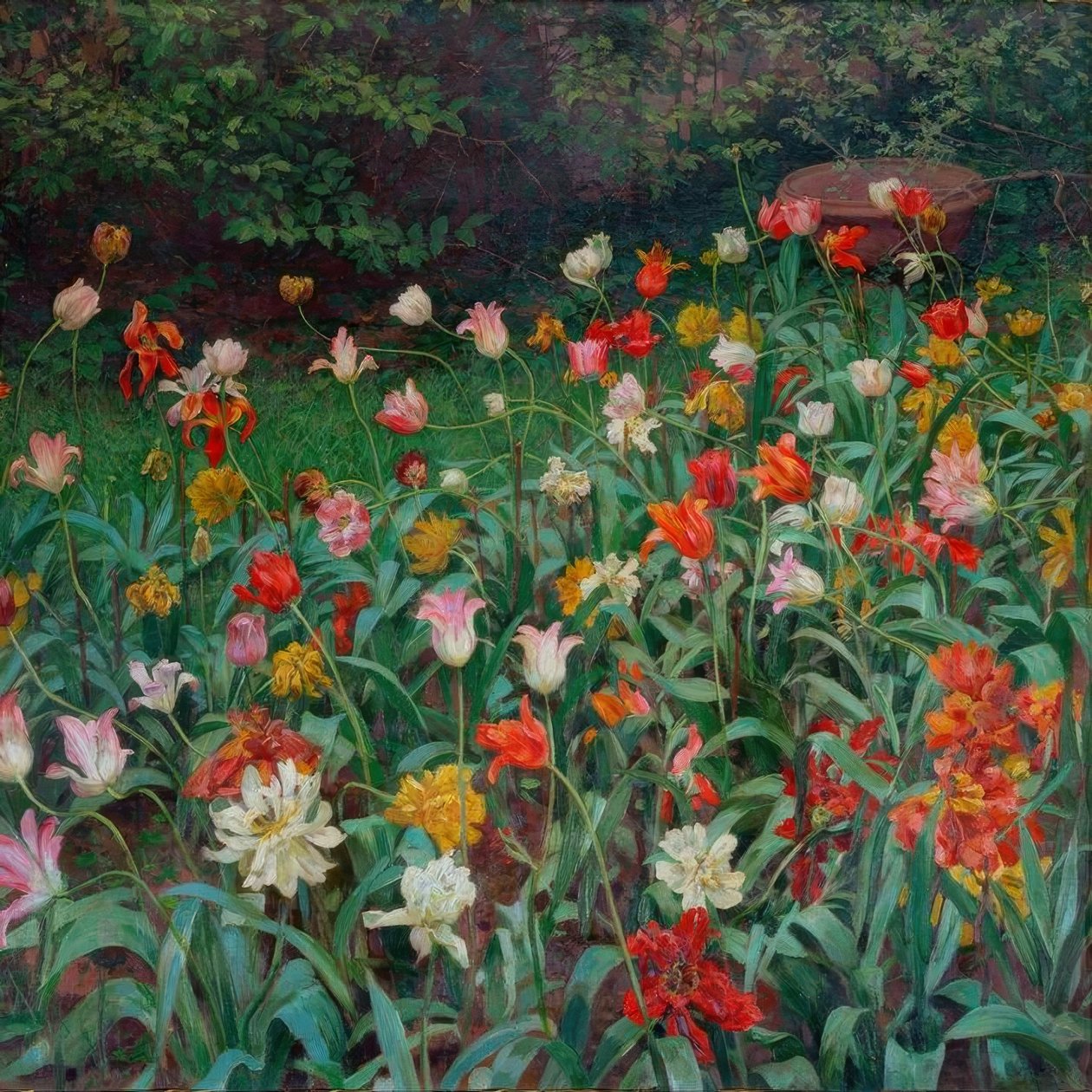 Tulipani da Maximilian Lenz