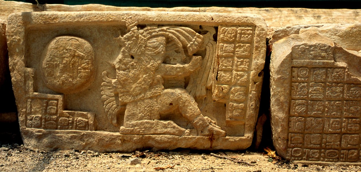 Basso rilievo di un giocatore di palla, la palla e i glifi che danno una descrizione, Periodo Classico Tardo (700-900 d.C.) da Mayan