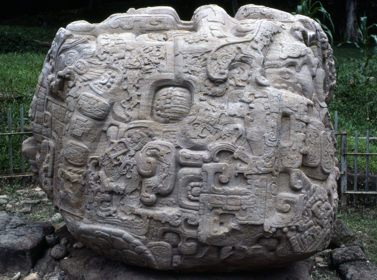 Vista laterale della pietra zoomorfa P, periodo classico tardo (600-900 d.C.) da Mayan