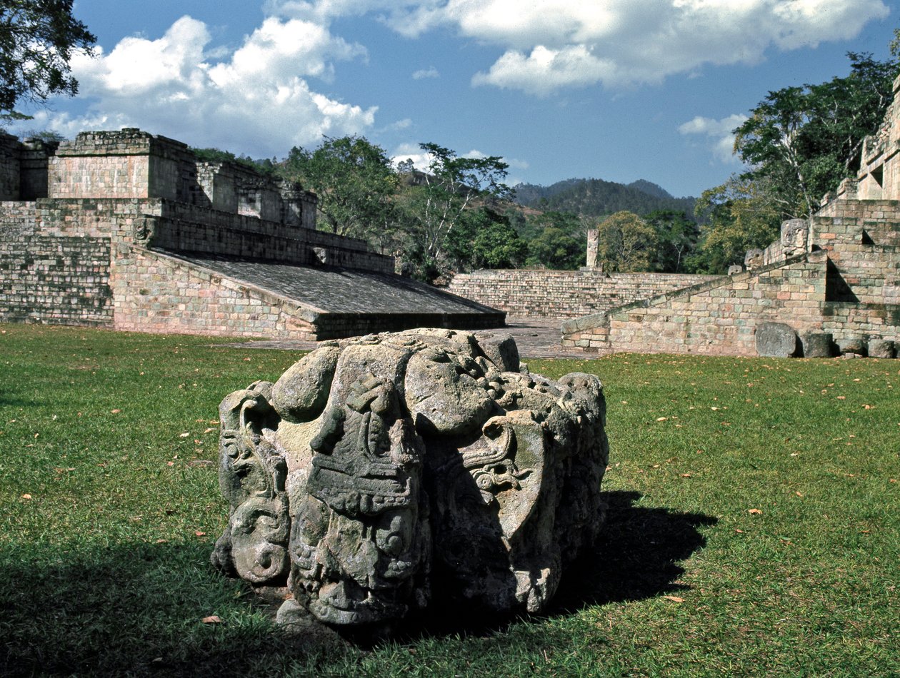 Il campo da gioco e l