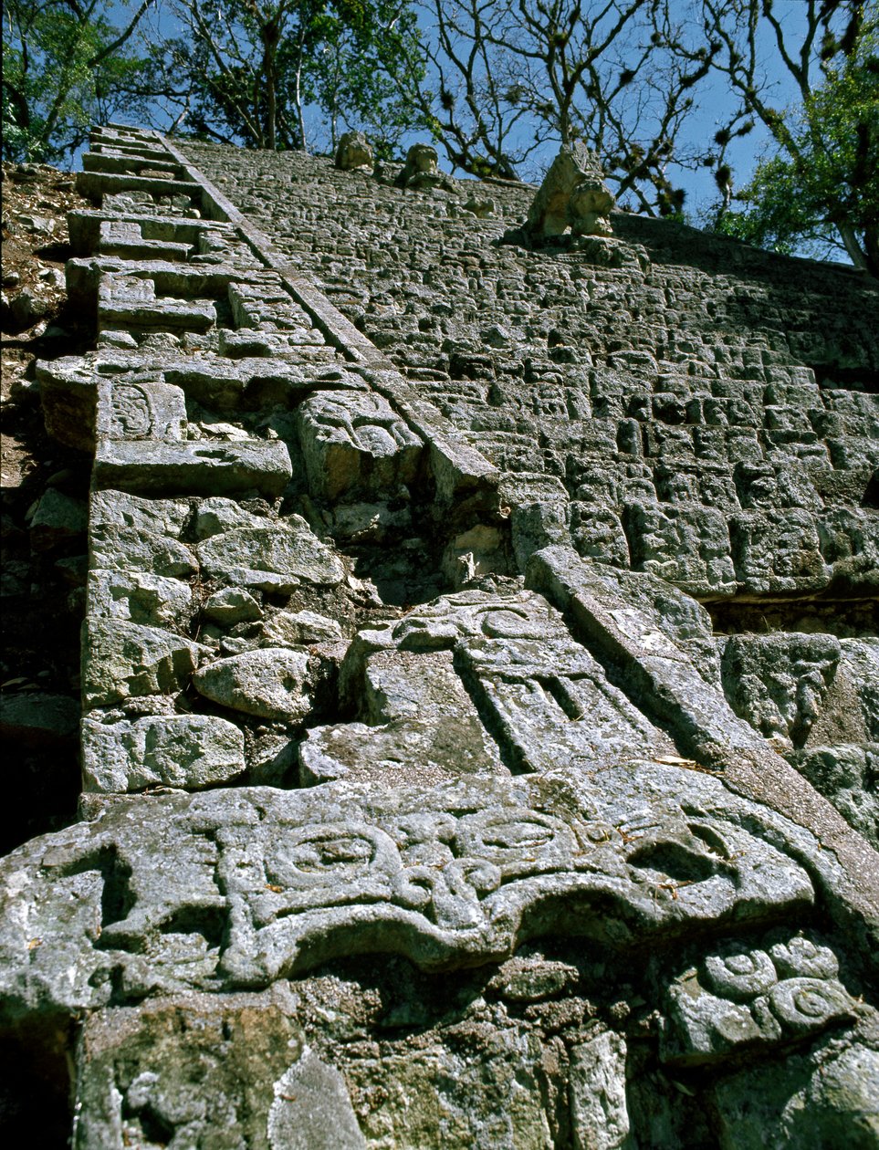 Vista della Scalinata Geroglifica, 743 d.C. da Mayan