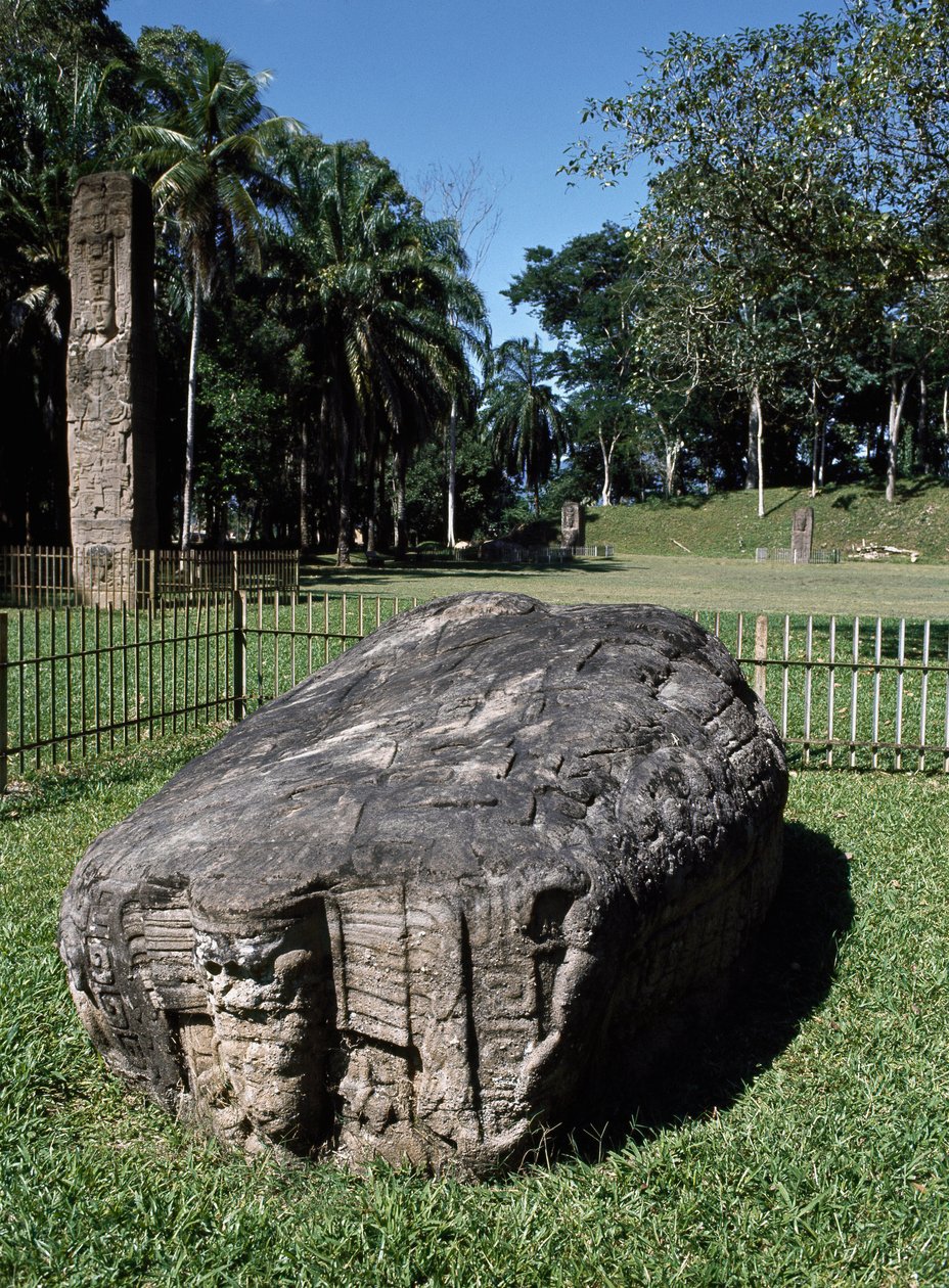 Altare zoomorfico G e pietra E da Mayan