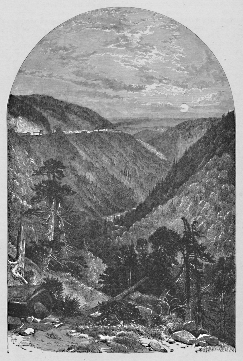 Vista ad Allegrippus, 1883 da Meeder and Chubb