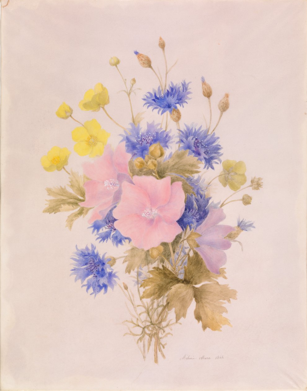 Fiori di campo da Melanie Marc