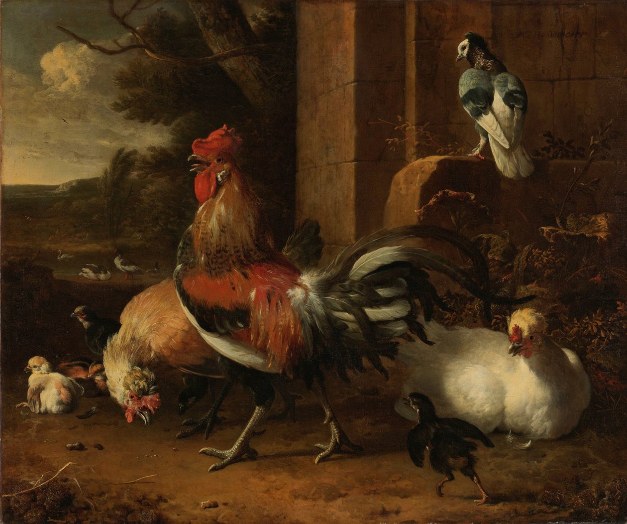 Un Cortile di Polli da Melchior d