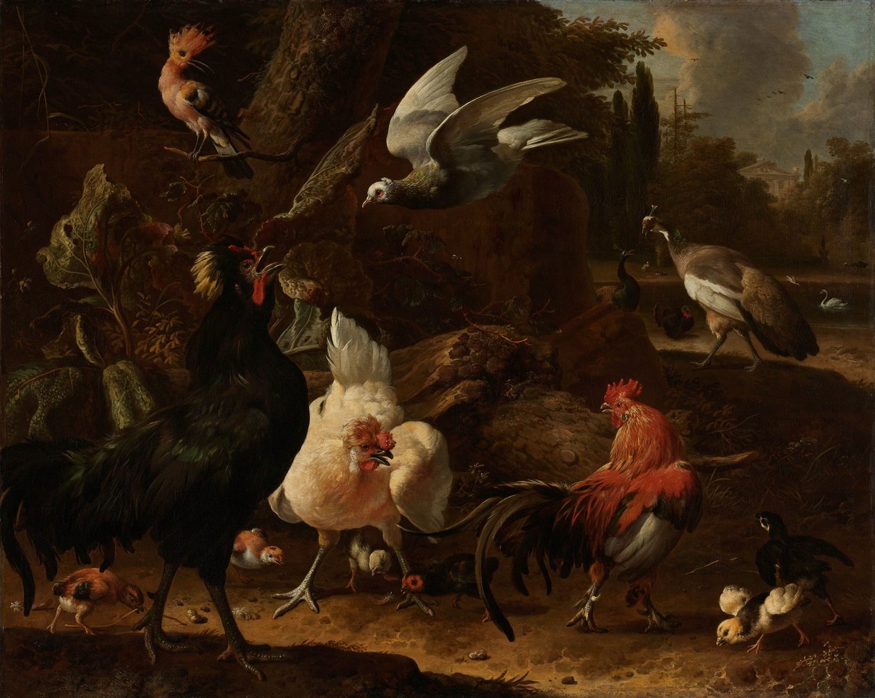 Uccelli in un parco da Melchior d