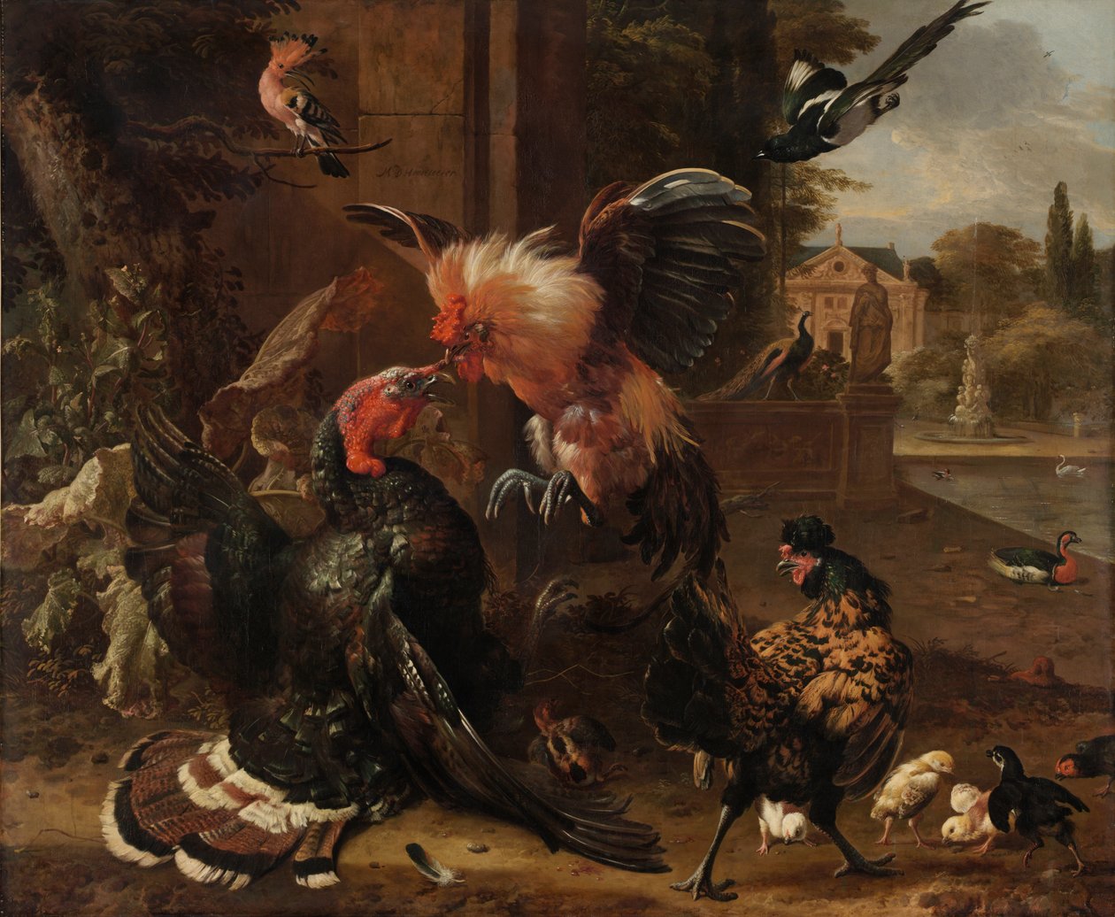 Un gallo e un tacchino che combattono da Melchior de Hondecoeter