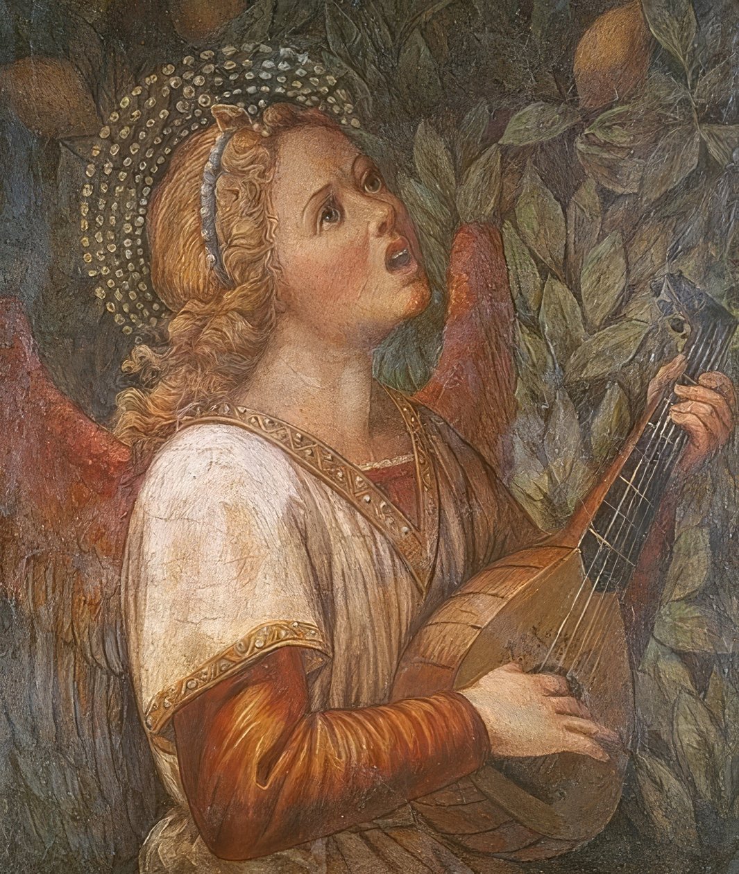 Angelo musicante da Melozzo da Forli