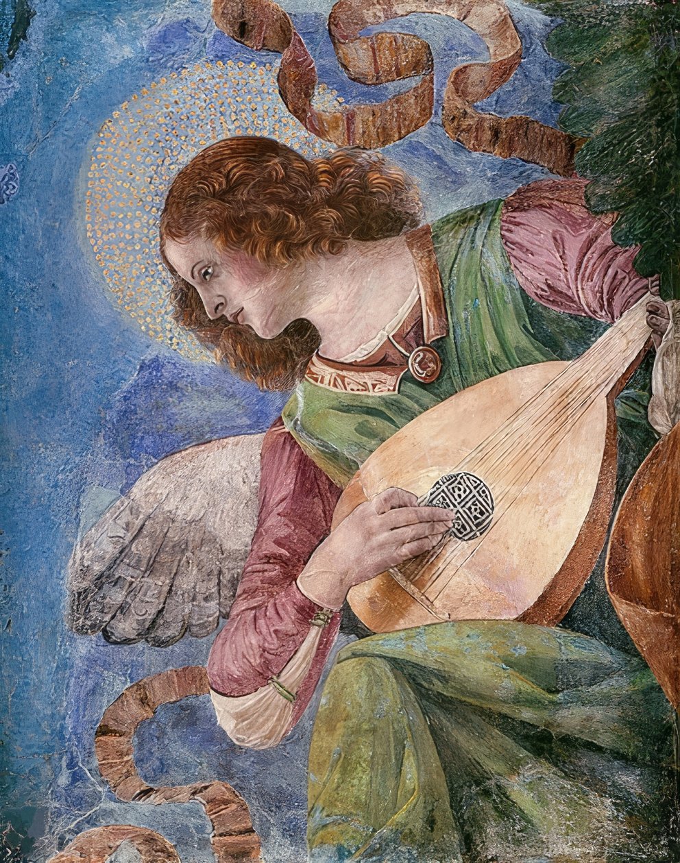 Angelo musicante da Melozzo da Forli