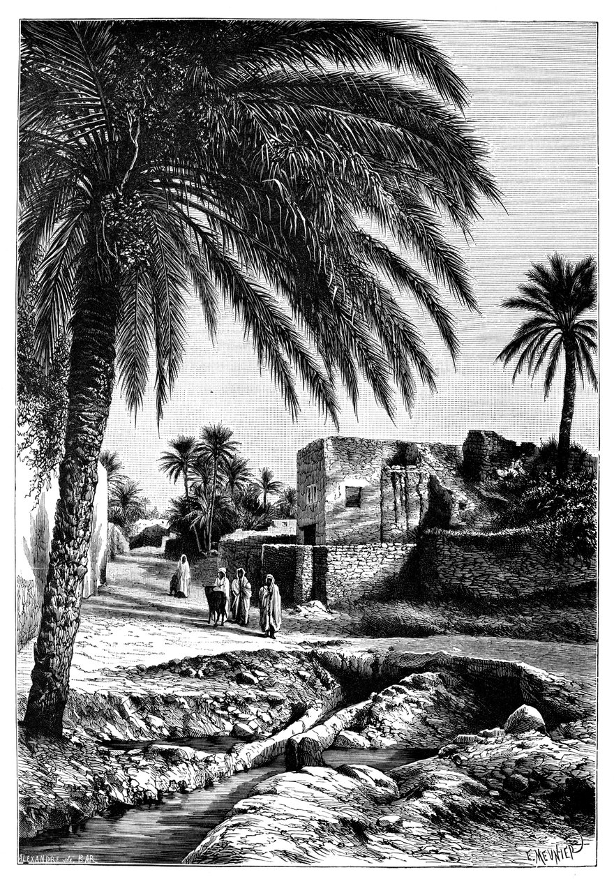 Una strada a Biskra, Algeria, 1895 da Meunier