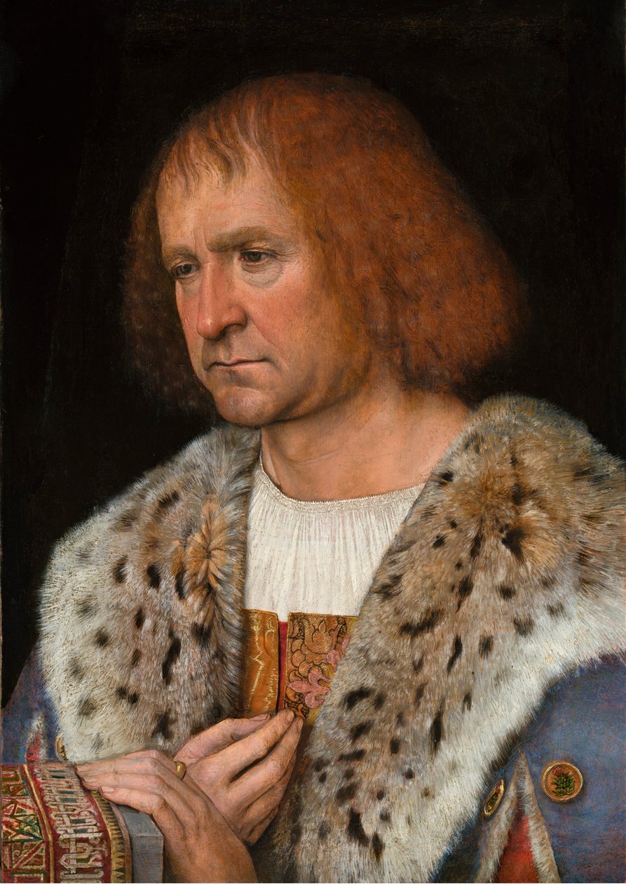 Ritratto di Diego de Guevara da Michael Sittow