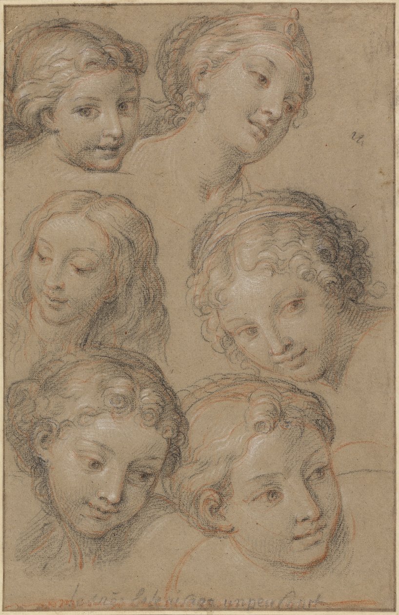 Studi di Teste di Donne da Michel Corneille