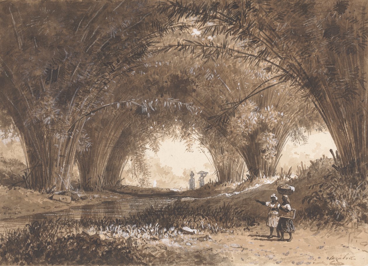 Archi di bambù, St. Anns da Michel Jean Cazabon
