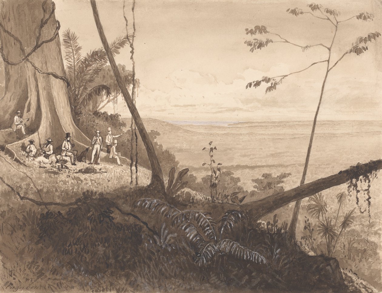 Cedar Point, Monte Tamana da Michel Jean Cazabon