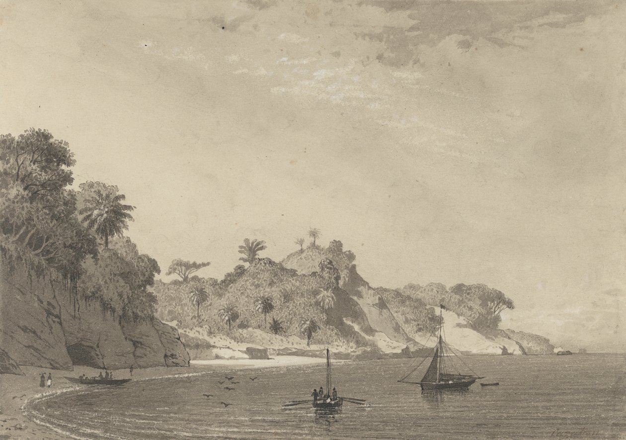 Baia di Cedros da Michel Jean Cazabon