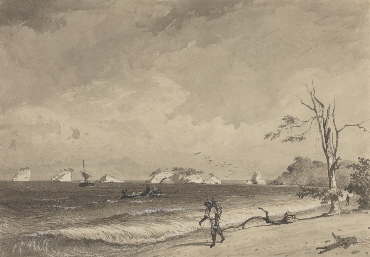 Los Gallos, Baia di Icacos da Michel Jean Cazabon