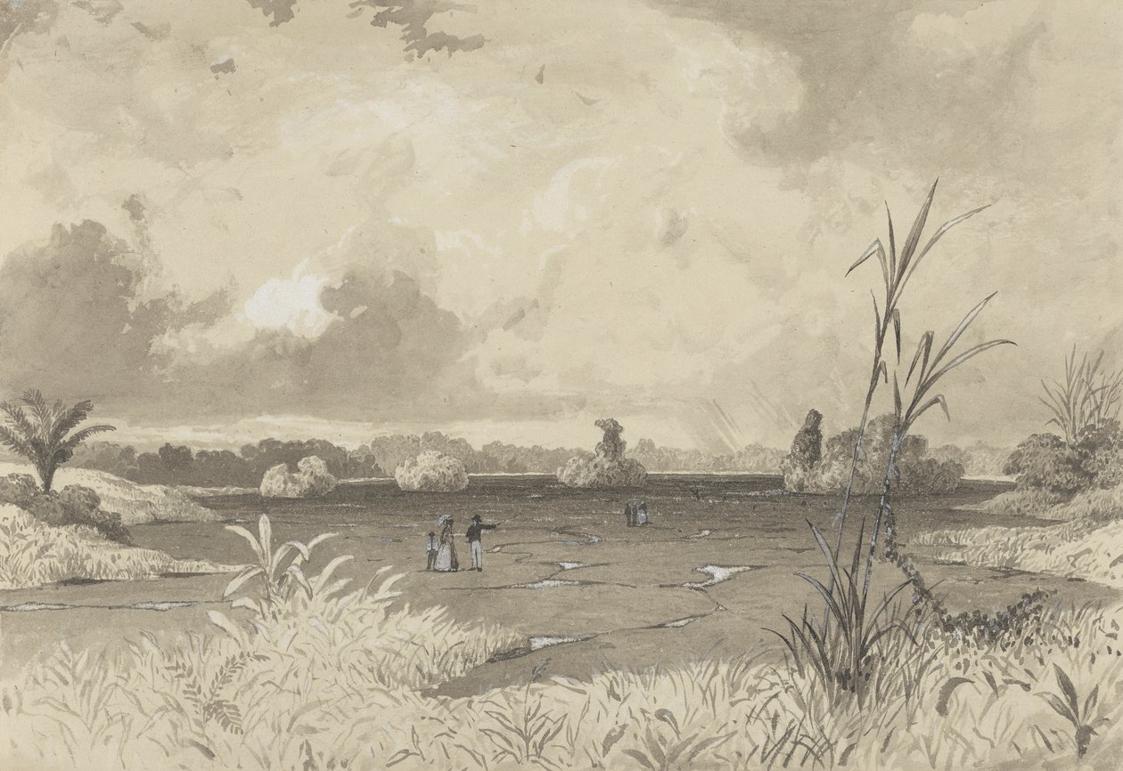 Il Lago di Pece da Michel Jean Cazabon