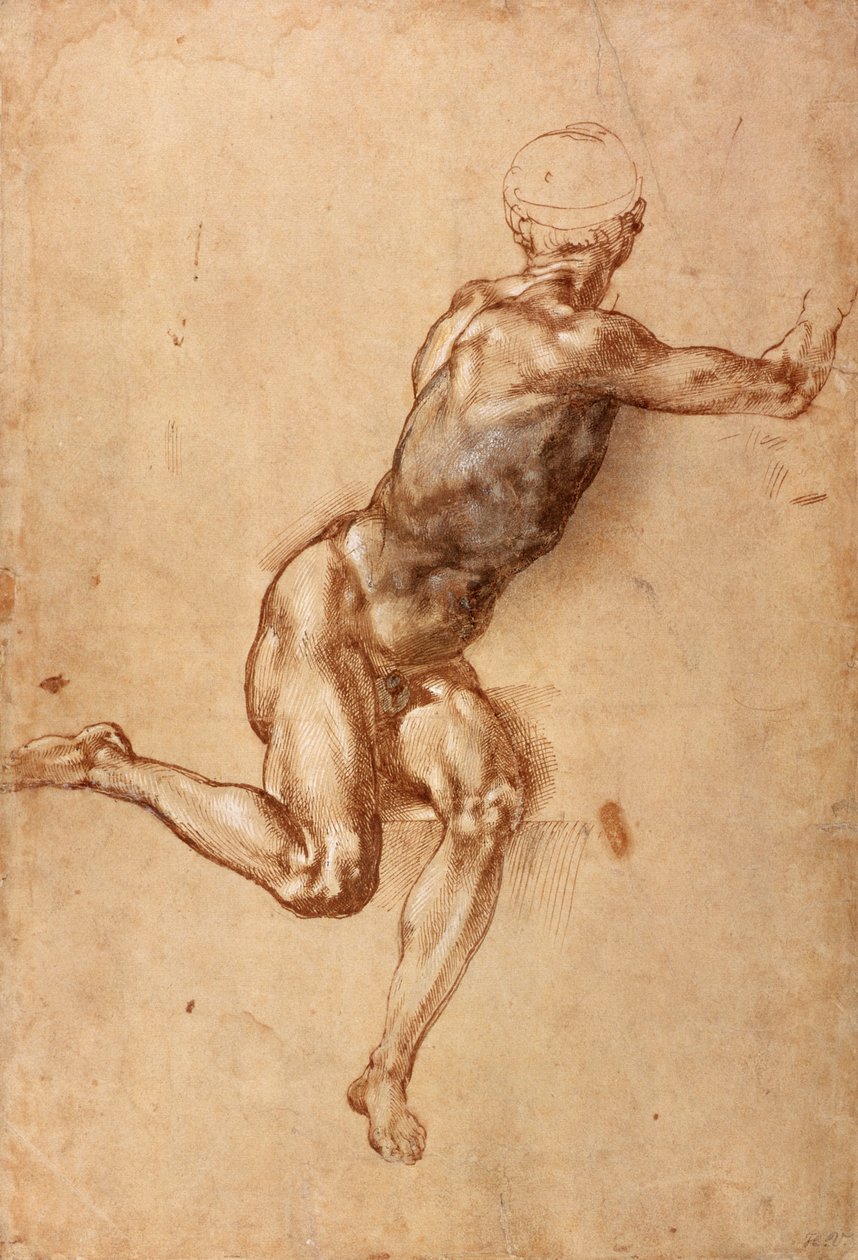 Nudo maschile seduto che si gira, c.1505 da Michelangelo Buonarroti