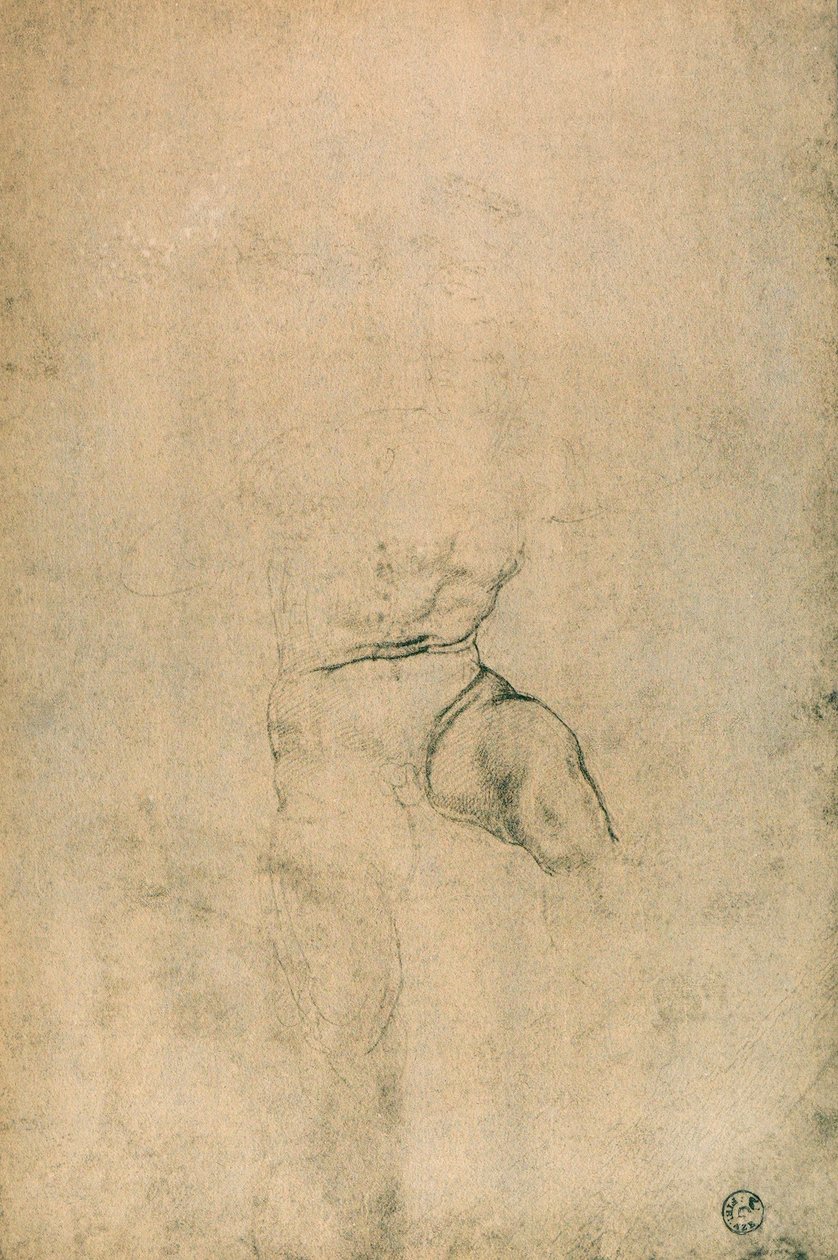 Nudo maschile, studio di Michelangelo da Michelangelo Buonarroti