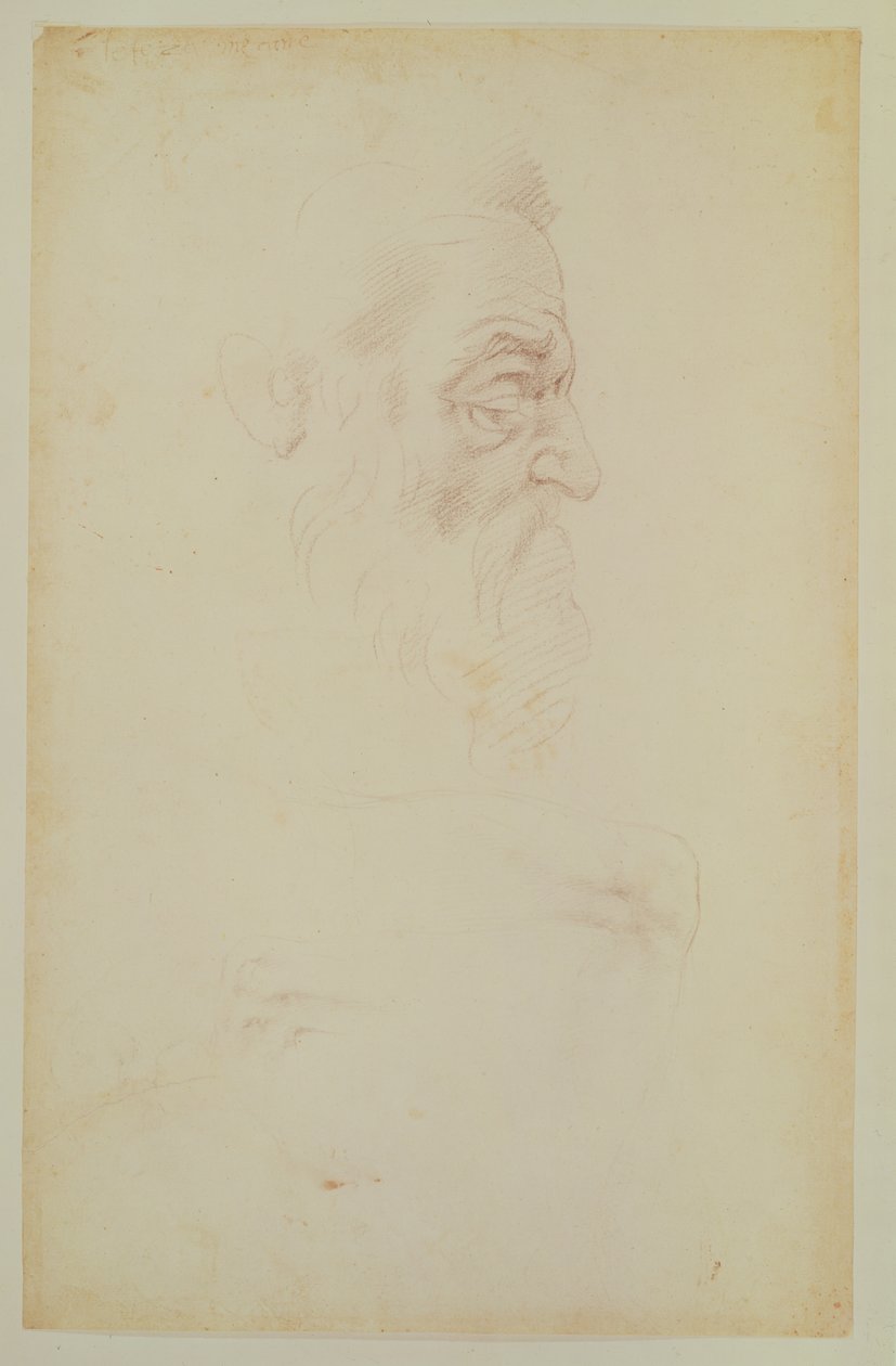 Schizzo di una testa maschile e due gambe da Michelangelo Buonarroti