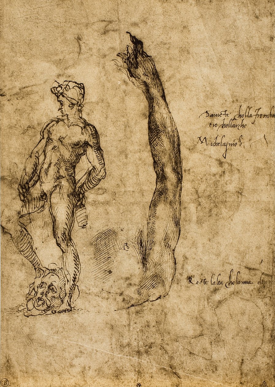 Studio per la statua di David da Michelangelo Buonarroti