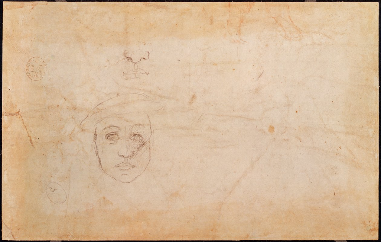 Studio di una testa maschile (verso) da Michelangelo Buonarroti