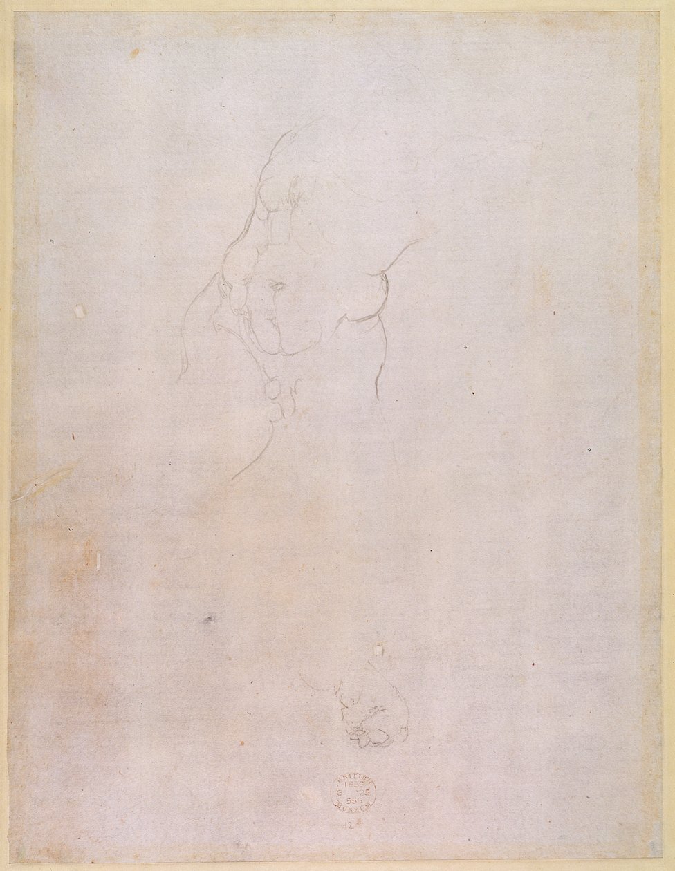 Studio di un torso maschile (verso) da Michelangelo Buonarroti