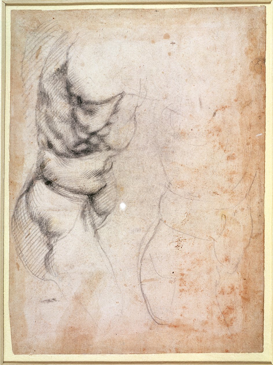 Studio di torso e gluteo (carboncino su carta) (recto) da Michelangelo Buonarroti