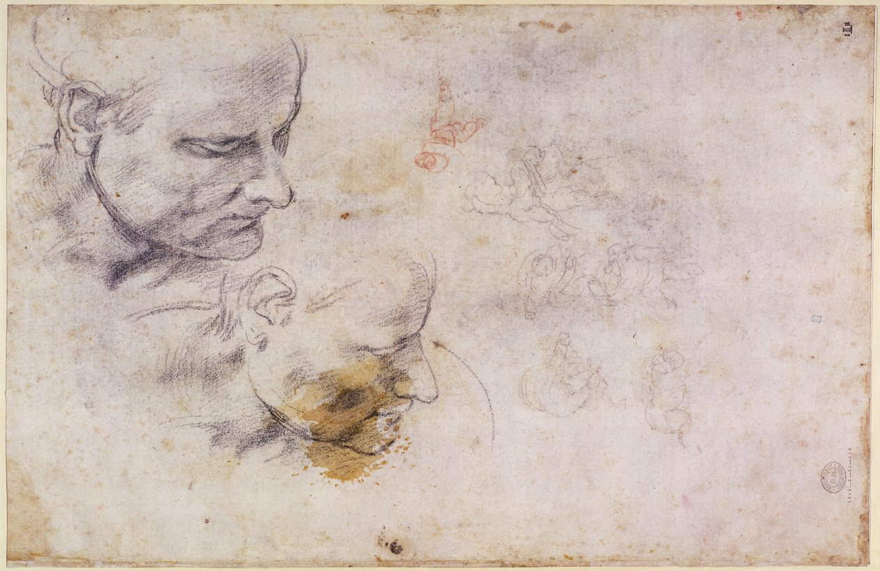 W.60 Schizzo di una testa maschile, in due posizioni da Michelangelo Buonarroti