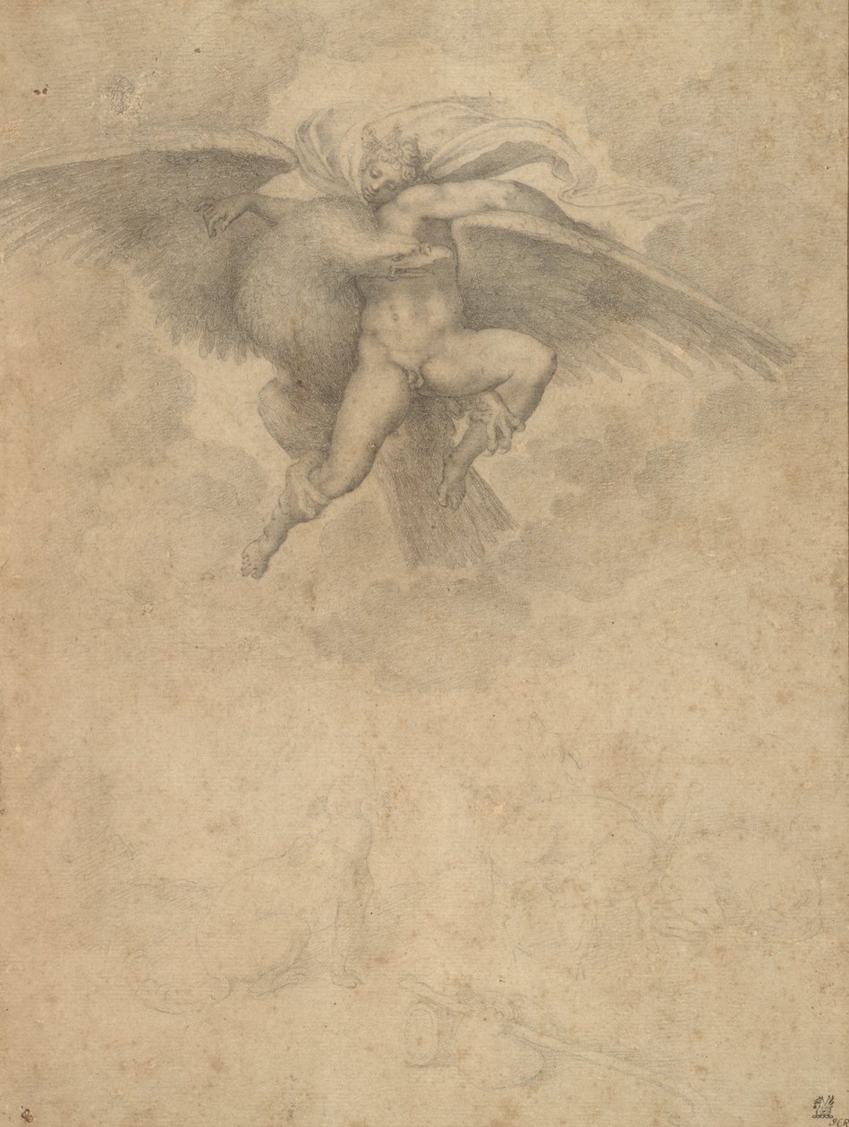 Ganimede da Michelangelo after Buonarroti