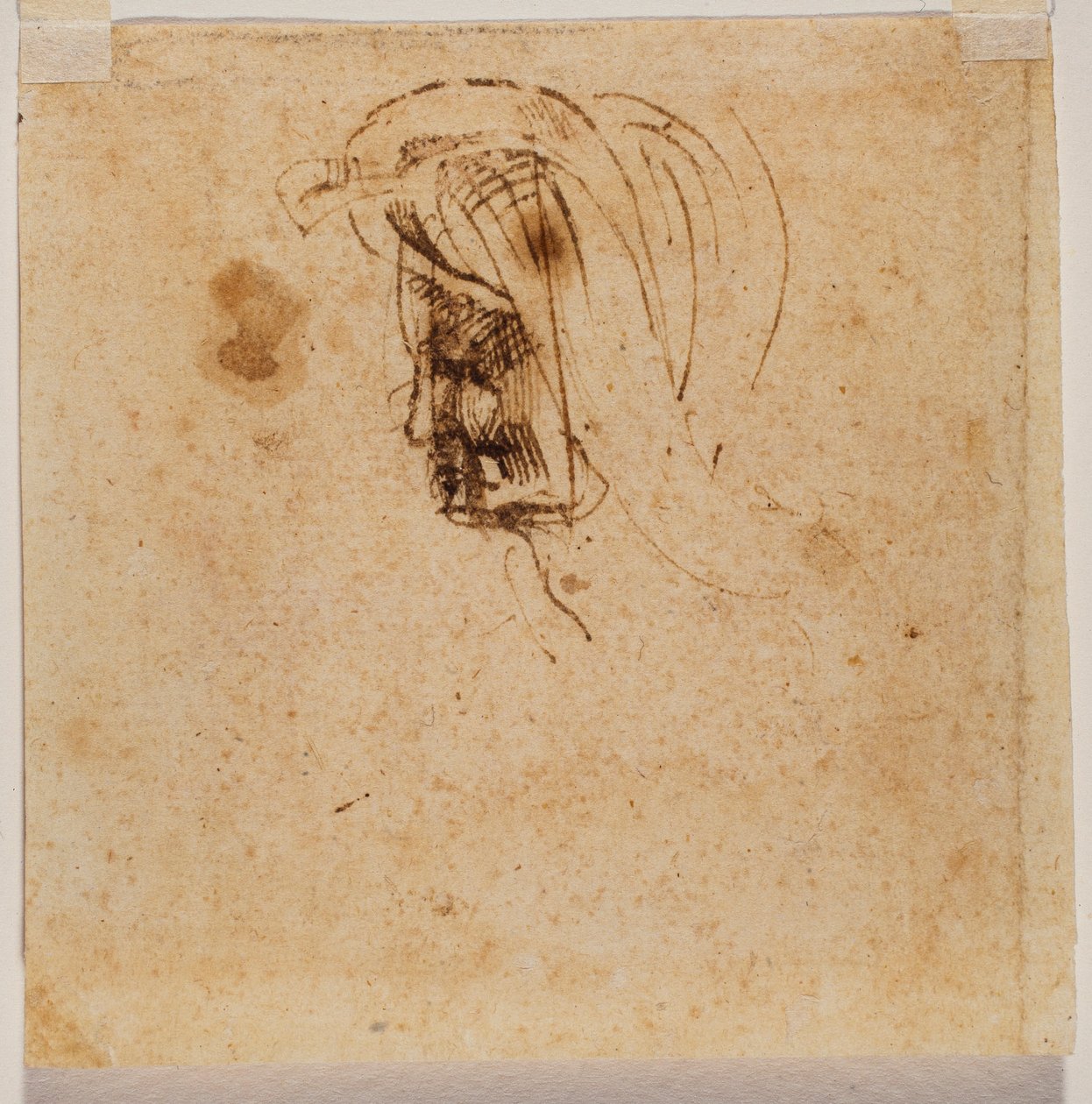Testa femminile da Michelangelo Buonarroti