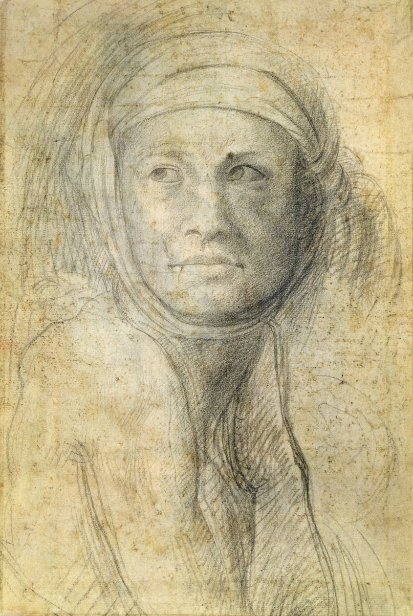Testa di una donna da Michelangelo Buonarroti
