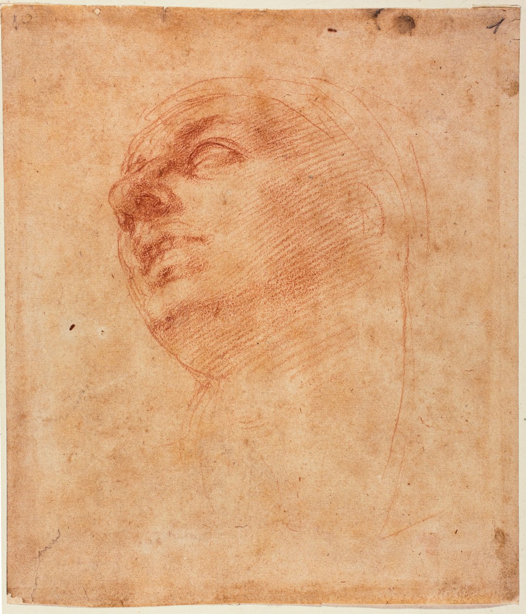 Studio della testa per il Giona della Sistina da Michelangelo Buonarroti