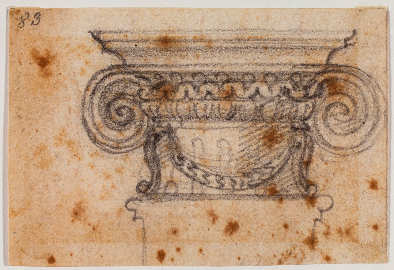 Studio di capitello ionico da Michelangelo Buonarroti