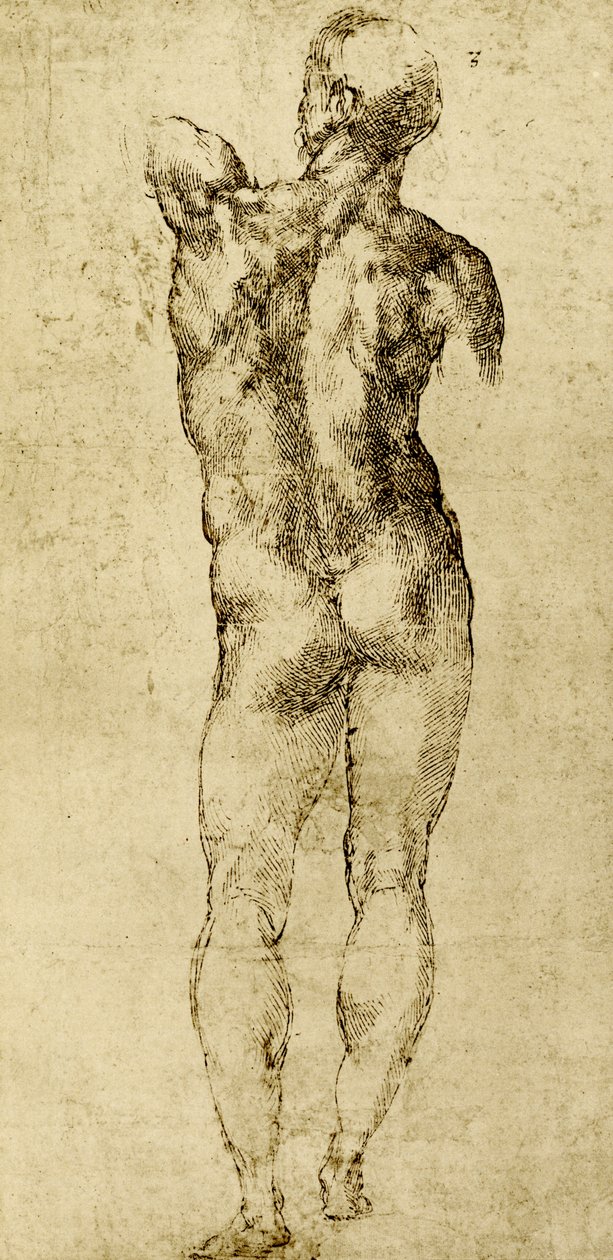 Nudo maschile da Michelangelo Buonarroti