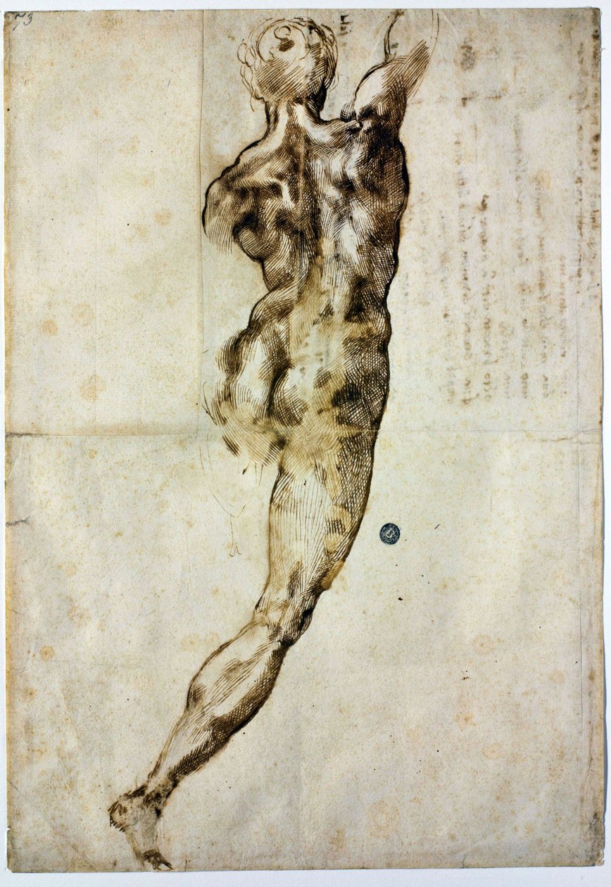 Nudo di schiena, c. 1504 da Michelangelo Buonarroti