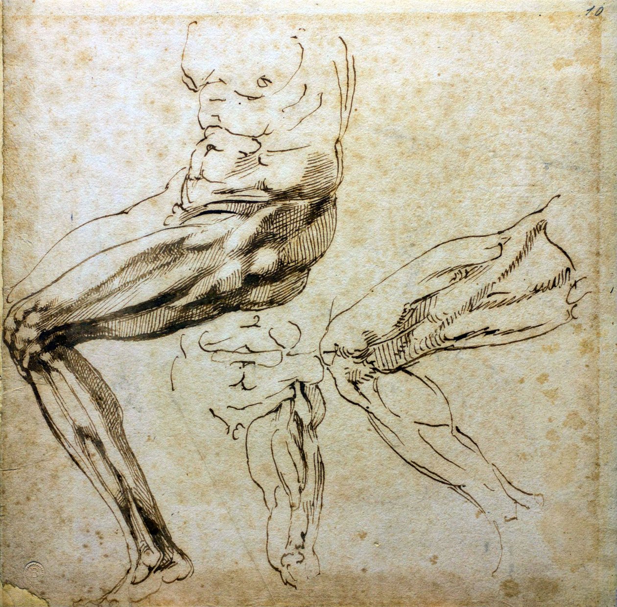 Studi di gambe, 1524-1525 da Michelangelo Buonarroti