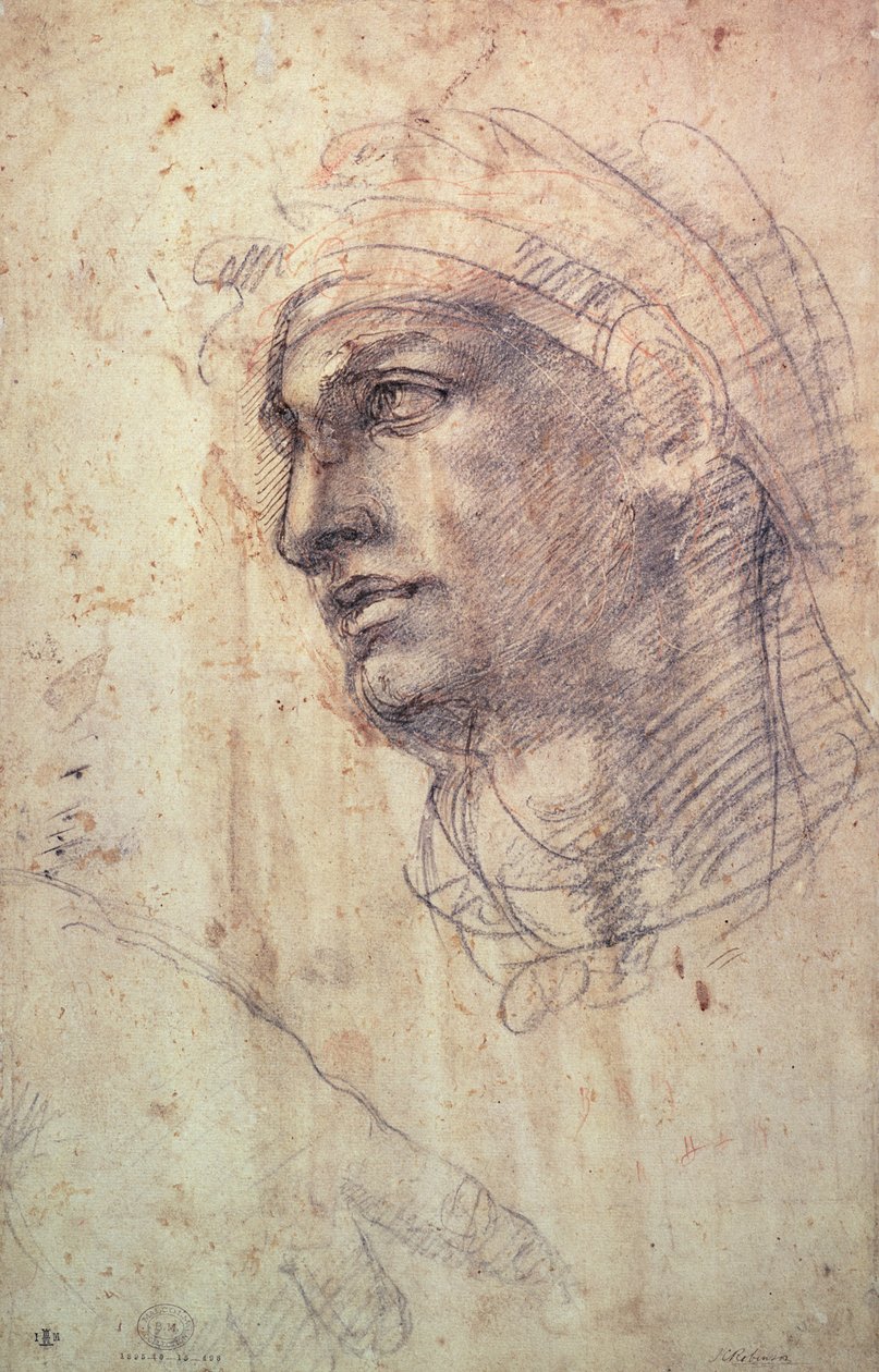 Studio di una testa da Michelangelo Buonarroti
