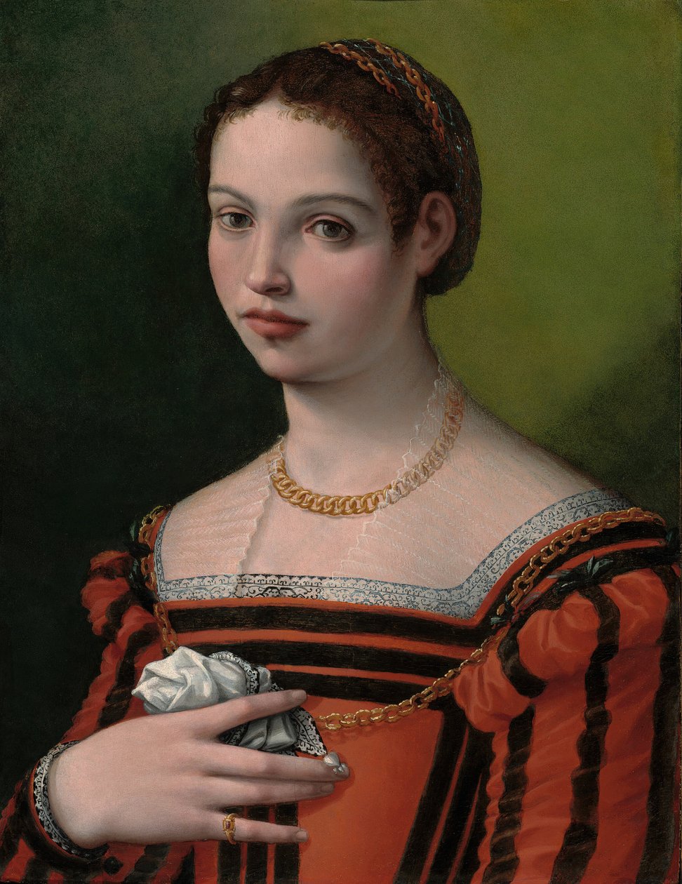 Ritratto di una Signora da Michele Tosini