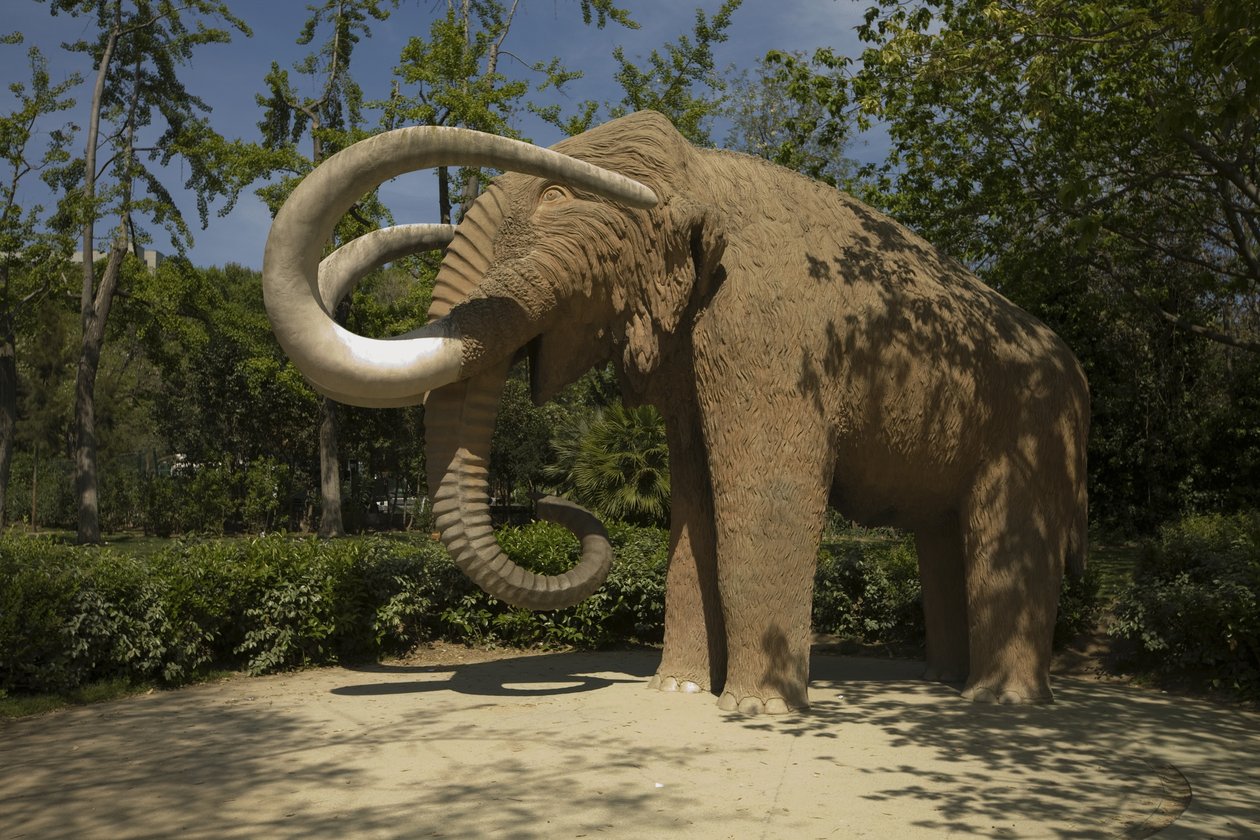 Mammut, 1907 da Miguel Dalmau