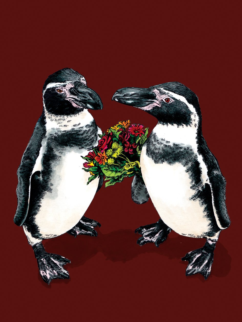 Pinguini anniversario sull