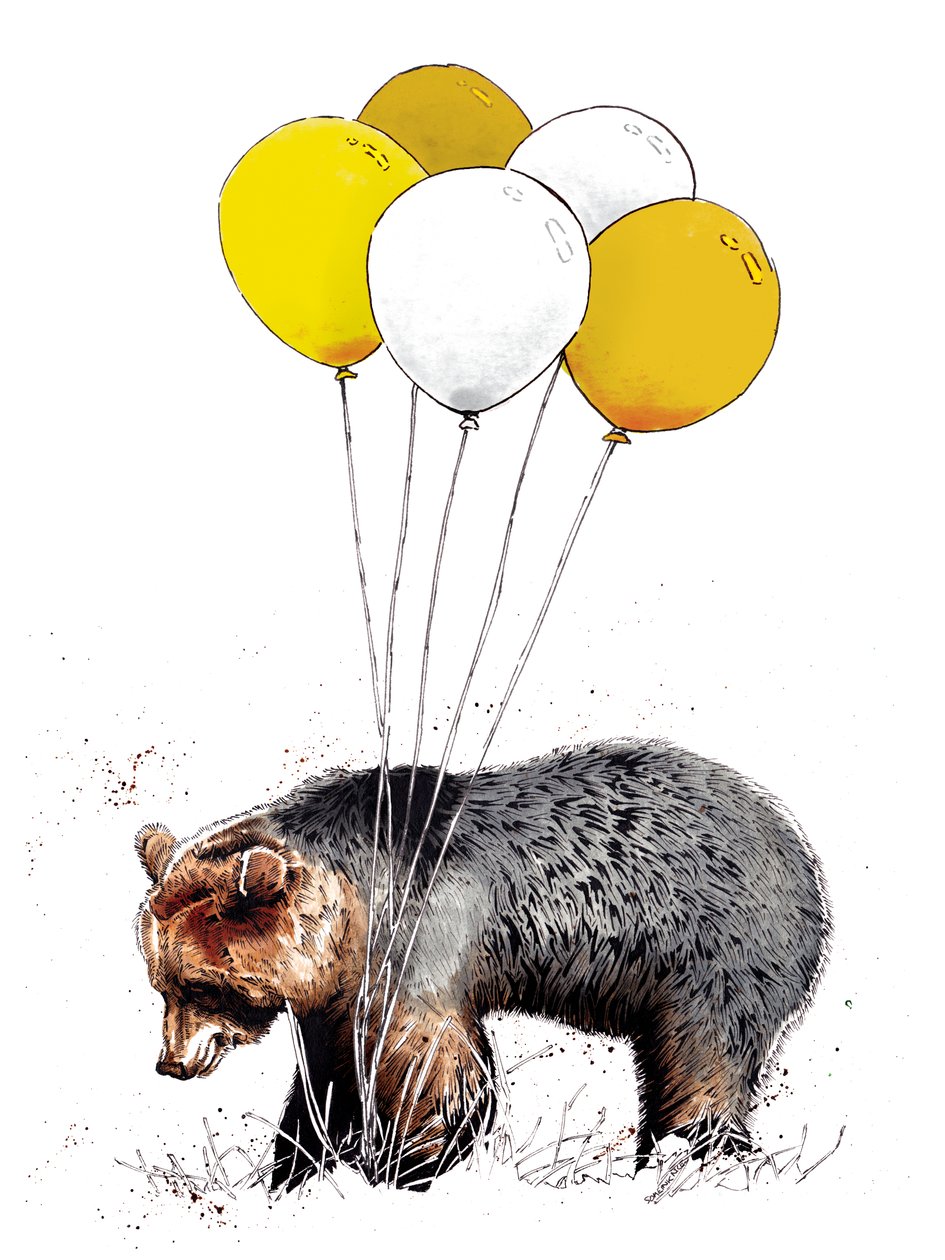 Orso di compleanno su bianco, 2020 da Mike Davis