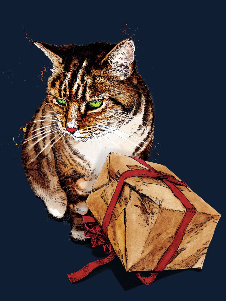 Gatto di Compleanno su Blu Mezzanotte, 2020 da Mike Davis